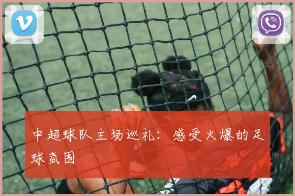 中超球队主场巡礼：感受火爆的足球氛围