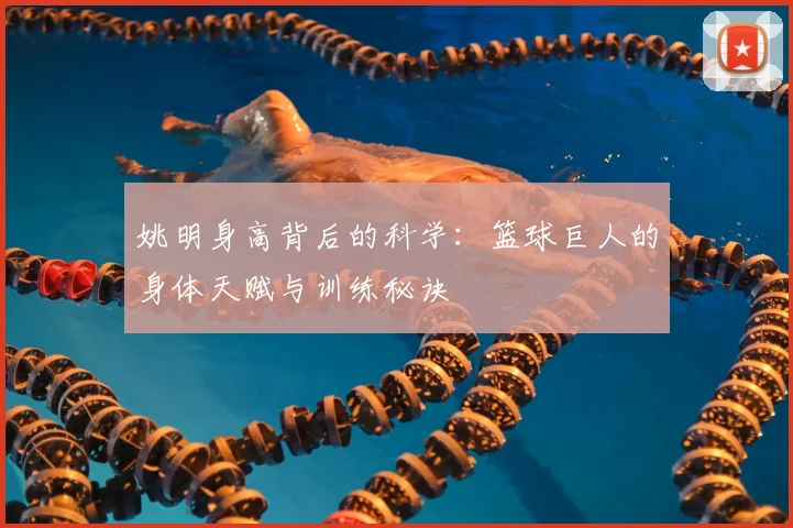 姚明身高背后的科学：篮球巨人的身体天赋与训练秘诀