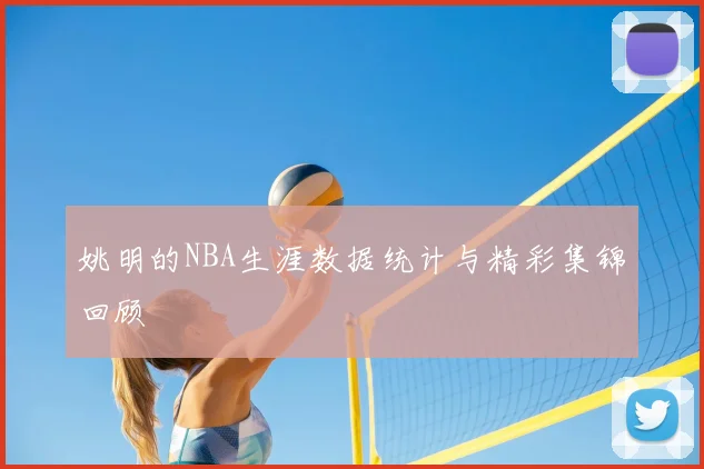 姚明的NBA生涯数据统计与精彩集锦回顾